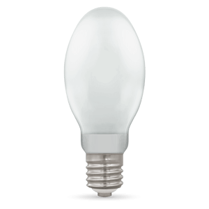 Elliptical Light Bulbs